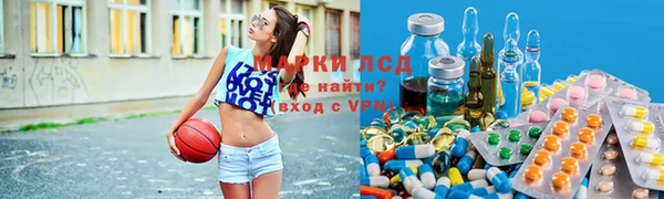 сатива Няндома