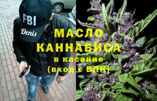 сатива Няндома