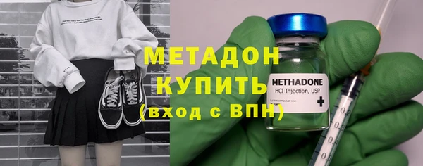 сатива Няндома