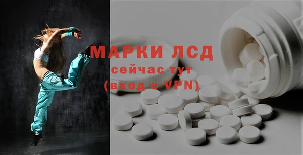 сатива Няндома