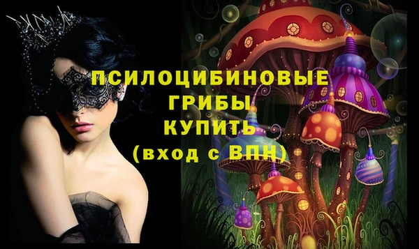 сатива Няндома