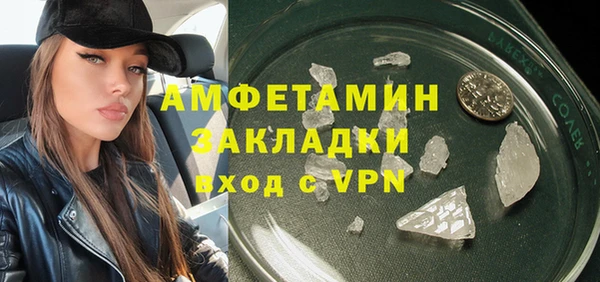 сатива Няндома