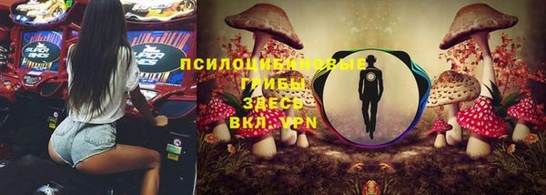 сатива Няндома