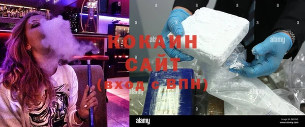 сатива Няндома