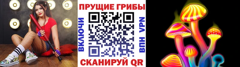 Галлюциногенные грибы Psilocybine cubensis  Чердынь 